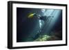 A Young Married Couple Scuba Diving in Devil's Den Springs Florida-null-Framed Art Print