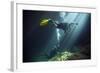 A Young Married Couple Scuba Diving in Devil's Den Springs Florida-null-Framed Art Print