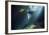 A Young Married Couple Scuba Diving in Devil's Den Springs Florida-null-Framed Art Print