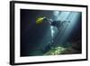 A Young Married Couple Scuba Diving in Devil's Den Springs Florida-null-Framed Art Print