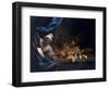 A Young Moor with a Still Life of Fruit-Tobias Stranover-Framed Art Print