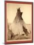 A Young Oglala Girl Sitting in Front of a Tipi-John C. H. Grabill-Mounted Giclee Print