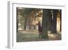 A Young Red Deer Stag, Cervus Elaphus, Stands by a Tree in Morning Mist in Richmond Park-Alex Saberi-Framed Photographic Print