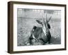 A Young Sable Antelope Sitting at London Zoo, C.1912-Frederick William Bond-Framed Photographic Print