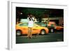 A Young Skateboarder in Union Square, New York City-Sabine Jacobs-Framed Photographic Print