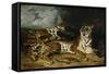 A Young Tiger Playing with Its Mother, 1830-Eugene Delacroix-Framed Stretched Canvas