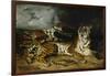 A Young Tiger Playing with Its Mother, 1830-Eugene Delacroix-Framed Giclee Print