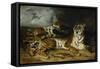 A Young Tiger Playing with Its Mother, 1830-Eugene Delacroix-Framed Stretched Canvas