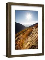 A Young Woman Goes for a Fall Run Along the Pipeline Trail, Millcreek Canyon, Salt Lake City, Utah-Louis Arevalo-Framed Photographic Print