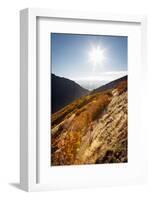 A Young Woman Goes for a Fall Run Along the Pipeline Trail, Millcreek Canyon, Salt Lake City, Utah-Louis Arevalo-Framed Photographic Print