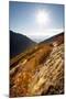 A Young Woman Goes for a Fall Run Along the Pipeline Trail, Millcreek Canyon, Salt Lake City, Utah-Louis Arevalo-Mounted Photographic Print