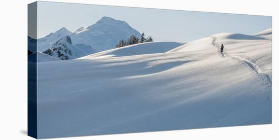 A Young Woman on the Approach While Backcountry Skiing in the North Cascades, Washington-Steven Gnam-Stretched Canvas