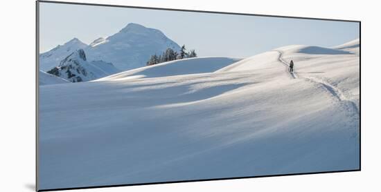 A Young Woman on the Approach While Backcountry Skiing in the North Cascades, Washington-Steven Gnam-Mounted Photographic Print