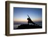 A Young Woman Performs Yoga at Blacks Beach in San Diego, California-Brett Holman-Framed Photographic Print