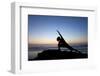 A Young Woman Performs Yoga at Blacks Beach in San Diego, California-Brett Holman-Framed Photographic Print