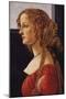 A Young Woman - Simonetti Vespucci-Sandro Botticelli-Mounted Art Print