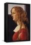 A Young Woman - Simonetti Vespucci-Sandro Botticelli-Framed Stretched Canvas