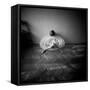 A Young Woman Sitting on a Pargued Floor-Rafal Bednarz-Framed Stretched Canvas
