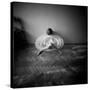 A Young Woman Sitting on a Pargued Floor-Rafal Bednarz-Stretched Canvas