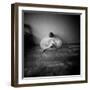 A Young Woman Sitting on a Pargued Floor-Rafal Bednarz-Framed Photographic Print