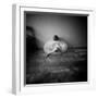 A Young Woman Sitting on a Pargued Floor-Rafal Bednarz-Framed Photographic Print