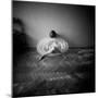 A Young Woman Sitting on a Pargued Floor-Rafal Bednarz-Mounted Photographic Print