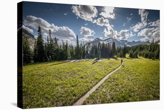 A Young Woman Trail Running in Glacier National Park, Montana-Steven Gnam-Stretched Canvas