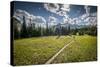 A Young Woman Trail Running in Glacier National Park, Montana-Steven Gnam-Stretched Canvas