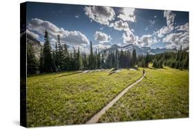 A Young Woman Trail Running in Glacier National Park, Montana-Steven Gnam-Stretched Canvas