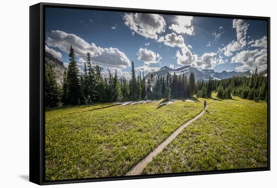 A Young Woman Trail Running in Glacier National Park, Montana-Steven Gnam-Framed Stretched Canvas