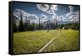 A Young Woman Trail Running in Glacier National Park, Montana-Steven Gnam-Framed Stretched Canvas