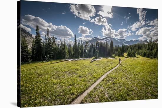 A Young Woman Trail Running in Glacier National Park, Montana-Steven Gnam-Stretched Canvas