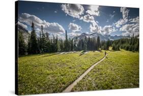 A Young Woman Trail Running in Glacier National Park, Montana-Steven Gnam-Stretched Canvas