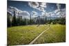 A Young Woman Trail Running in Glacier National Park, Montana-Steven Gnam-Mounted Photographic Print