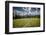 A Young Woman Trail Running in Glacier National Park, Montana-Steven Gnam-Framed Photographic Print