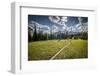 A Young Woman Trail Running in Glacier National Park, Montana-Steven Gnam-Framed Photographic Print