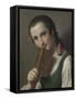 A Young Woman with a Book-Pietro Rotari-Framed Stretched Canvas