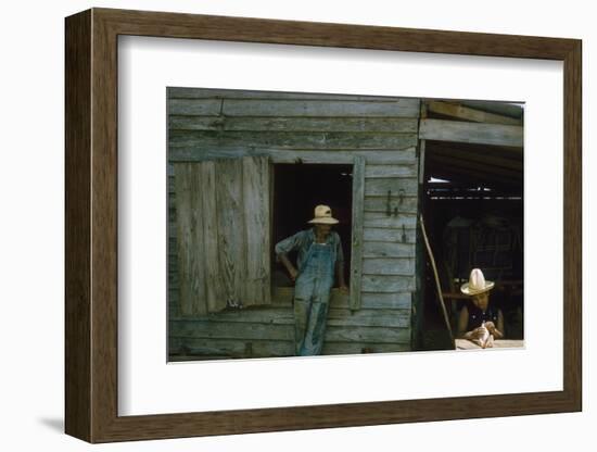 A Young Women Plucks Feathers from a Chicken, Edisto Island, South Carolina, 1956-Walter Sanders-Framed Photographic Print