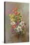 A Yuletide Posy-Albert Williams-Stretched Canvas