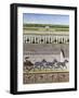 A Zeal of Zebras-Rebecca Campbell-Framed Giclee Print