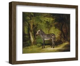 A Zebra, 1763-George Stubbs-Framed Premium Giclee Print