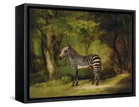 A Zebra, 1763-George Stubbs-Framed Stretched Canvas