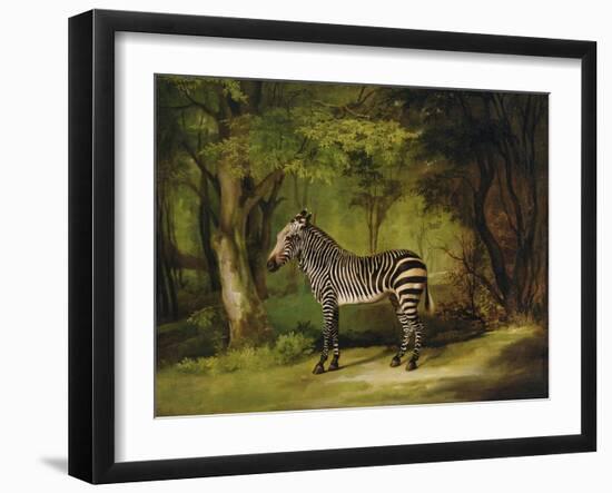 A Zebra, 1763-George Stubbs-Framed Giclee Print