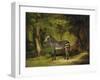 A Zebra, 1763-George Stubbs-Framed Giclee Print