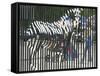 A Zebra on the Front Gate of the 75-Year-Old Zoo in Warsaw, Poland,June 24, 2003-Czarek Sokolowski-Framed Stretched Canvas