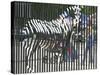 A Zebra on the Front Gate of the 75-Year-Old Zoo in Warsaw, Poland,June 24, 2003-Czarek Sokolowski-Stretched Canvas
