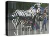 A Zebra on the Front Gate of the 75-Year-Old Zoo in Warsaw, Poland,June 24, 2003-Czarek Sokolowski-Stretched Canvas