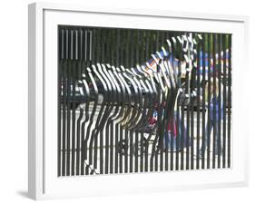 A Zebra on the Front Gate of the 75-Year-Old Zoo in Warsaw, Poland,June 24, 2003-Czarek Sokolowski-Framed Photographic Print