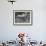 A Zebra on the Front Gate of the 75-Year-Old Zoo in Warsaw, Poland,June 24, 2003-Czarek Sokolowski-Framed Photographic Print displayed on a wall