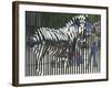 A Zebra on the Front Gate of the 75-Year-Old Zoo in Warsaw, Poland,June 24, 2003-Czarek Sokolowski-Framed Photographic Print